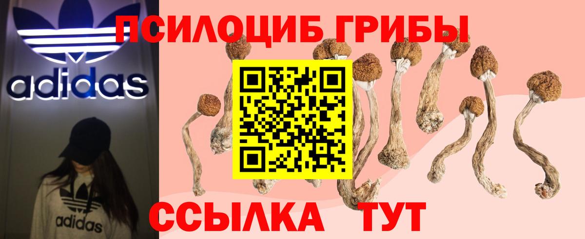 Курчалой  Псилоцибиновые грибы ЛСД  Вход с VPN 